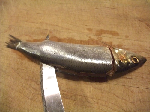
چاقو را از بالا تا دم ماهی بکشید (<i> در زمان برش دادن با دست ماهی را ثابت نگهدارید </i>)
