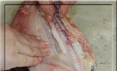 
پس از جدا شدن استخوان ماهی میتوانید با دست استخوان را از دم و زیر ابشش بکنید یا با چاقو ببرید
